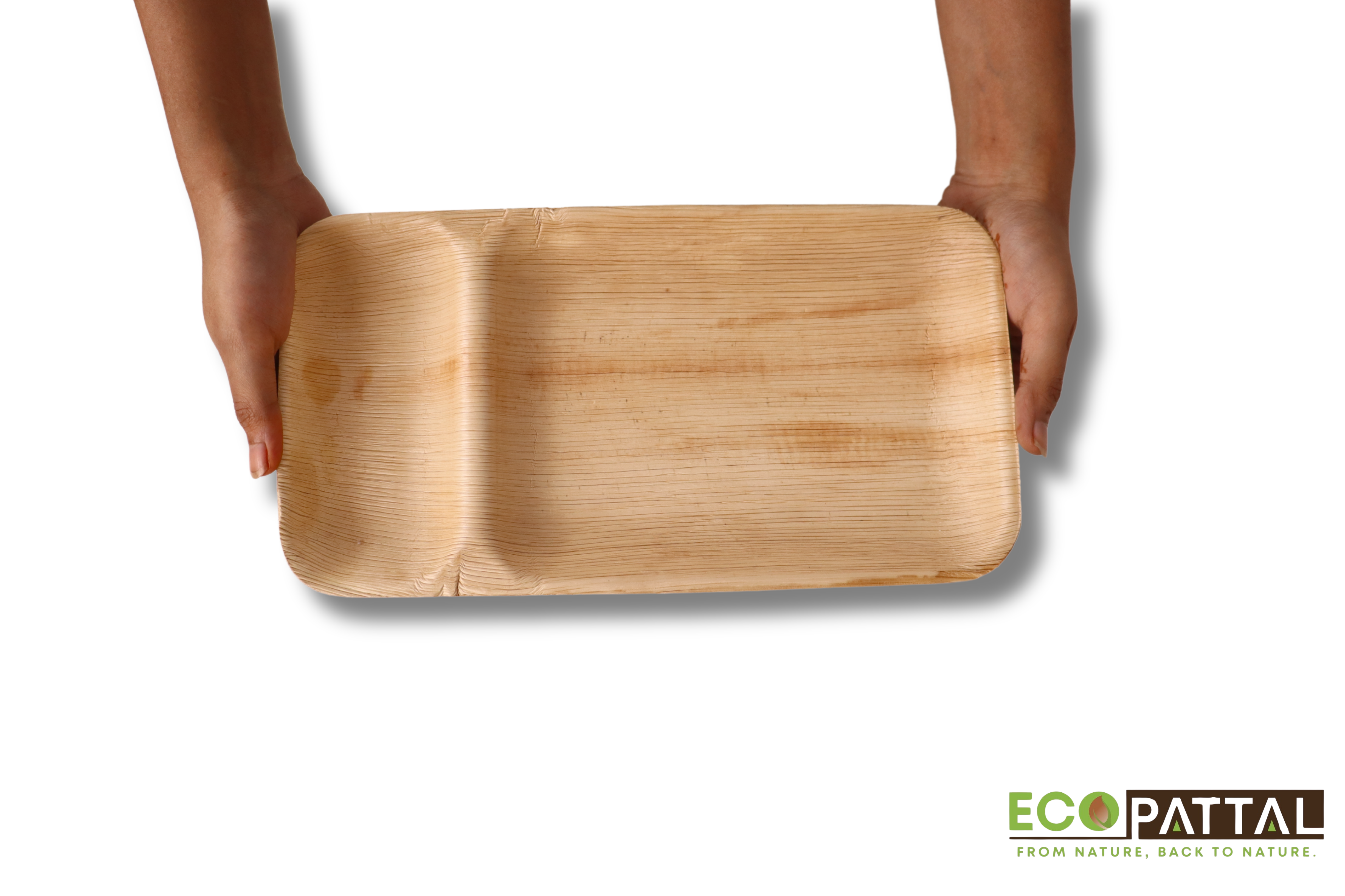 2 cp rectangle partition plates